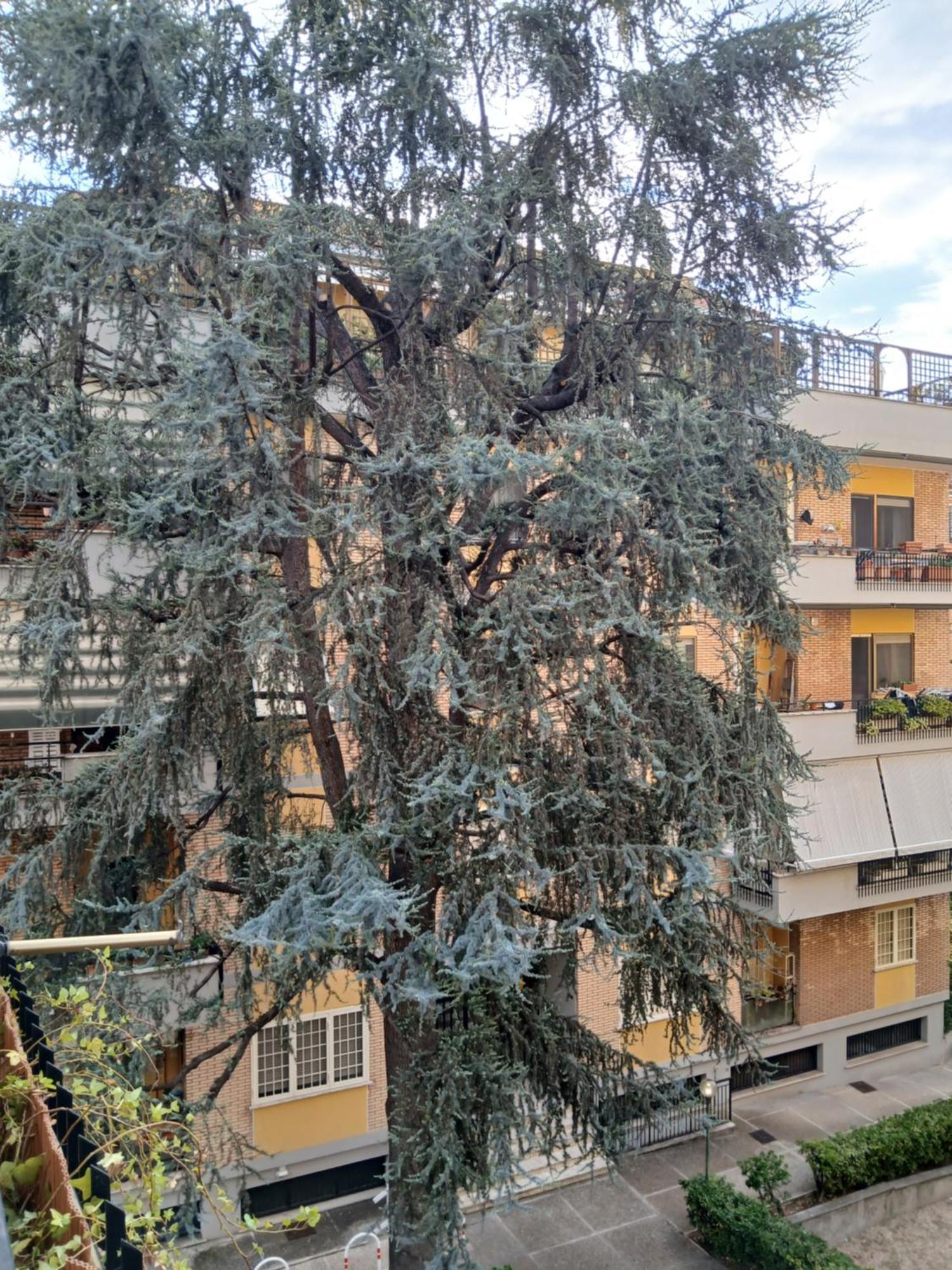דירות רומא La Casa Di Antonella E Giuseppe מראה חיצוני תמונה