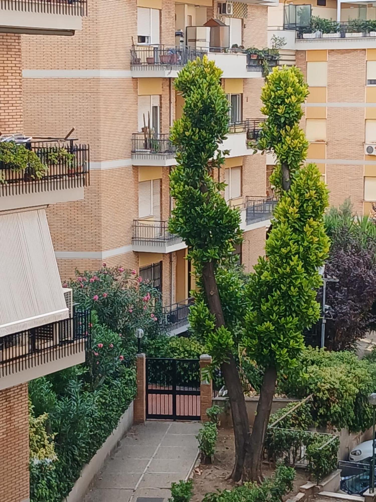 דירות רומא La Casa Di Antonella E Giuseppe מראה חיצוני תמונה